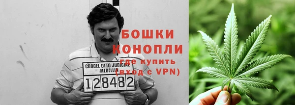 ПСИЛОЦИБИНОВЫЕ ГРИБЫ Алзамай