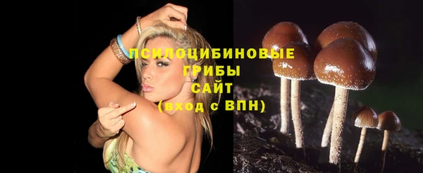 не бодяженный Приозерск