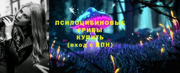 прущий лед Алексеевка