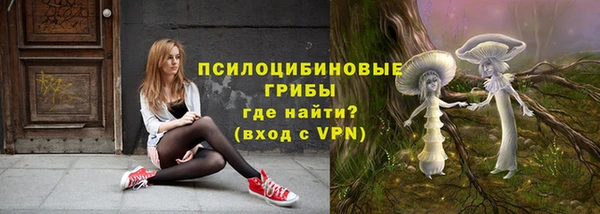 синтетический гашиш Пролетарск